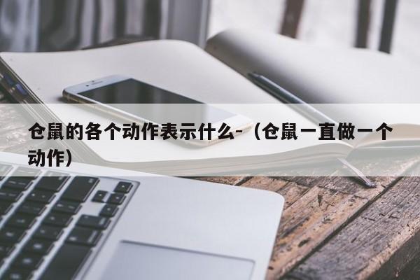 仓鼠的各个动作表示什么-（仓鼠一直做一个动作）